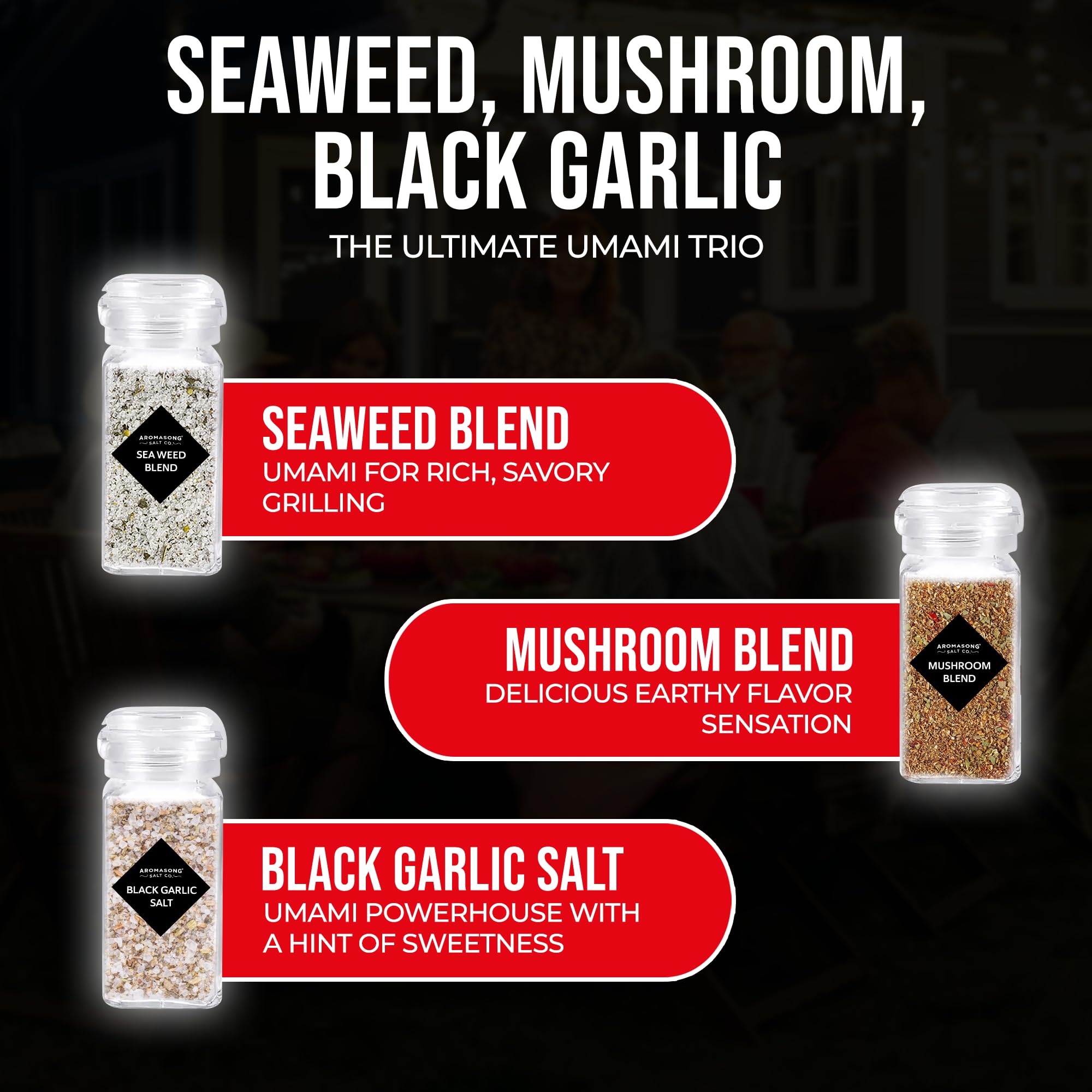 Aromasong Dead Sea Grill Seasoning Gift Set (Set of 3)