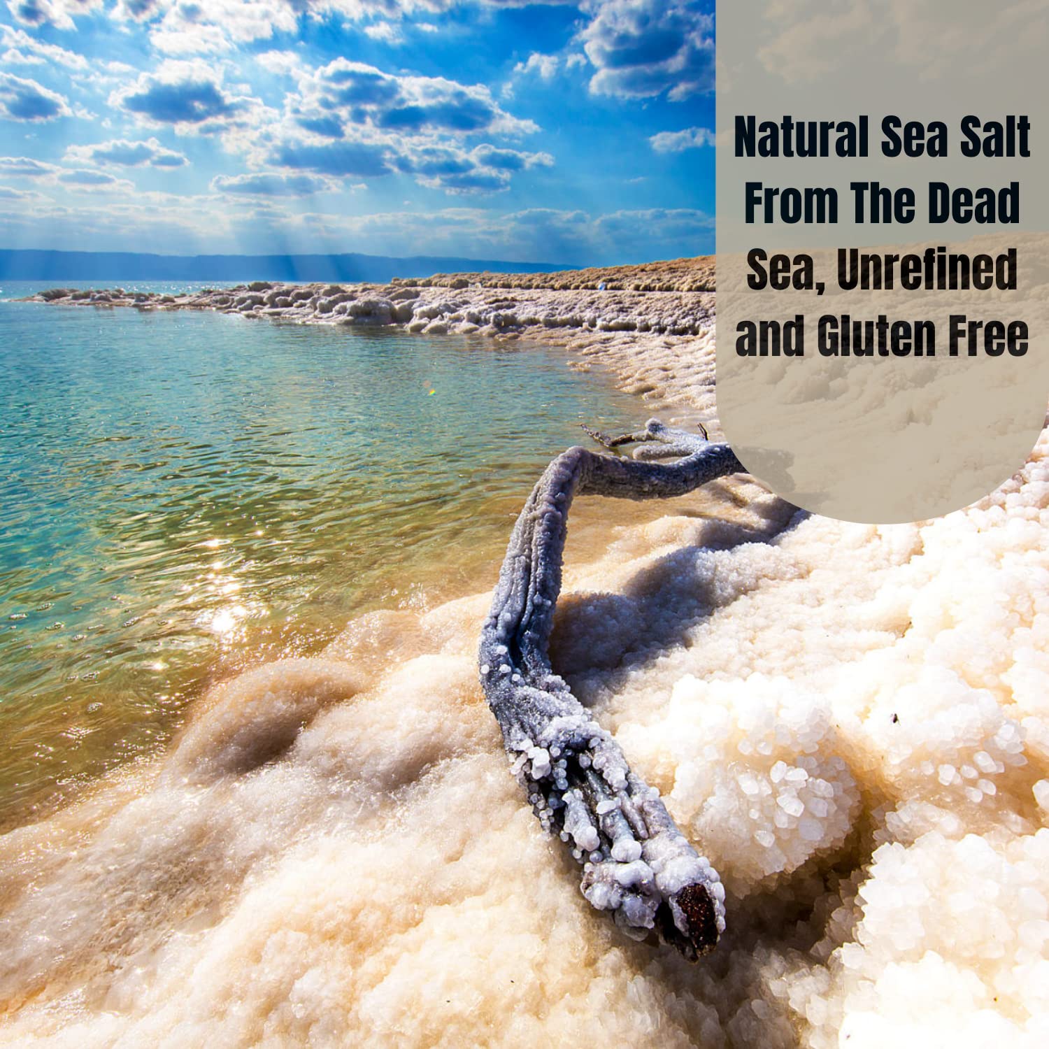 Fine Grain Sea Salt from the Dead Sea 13 Oz