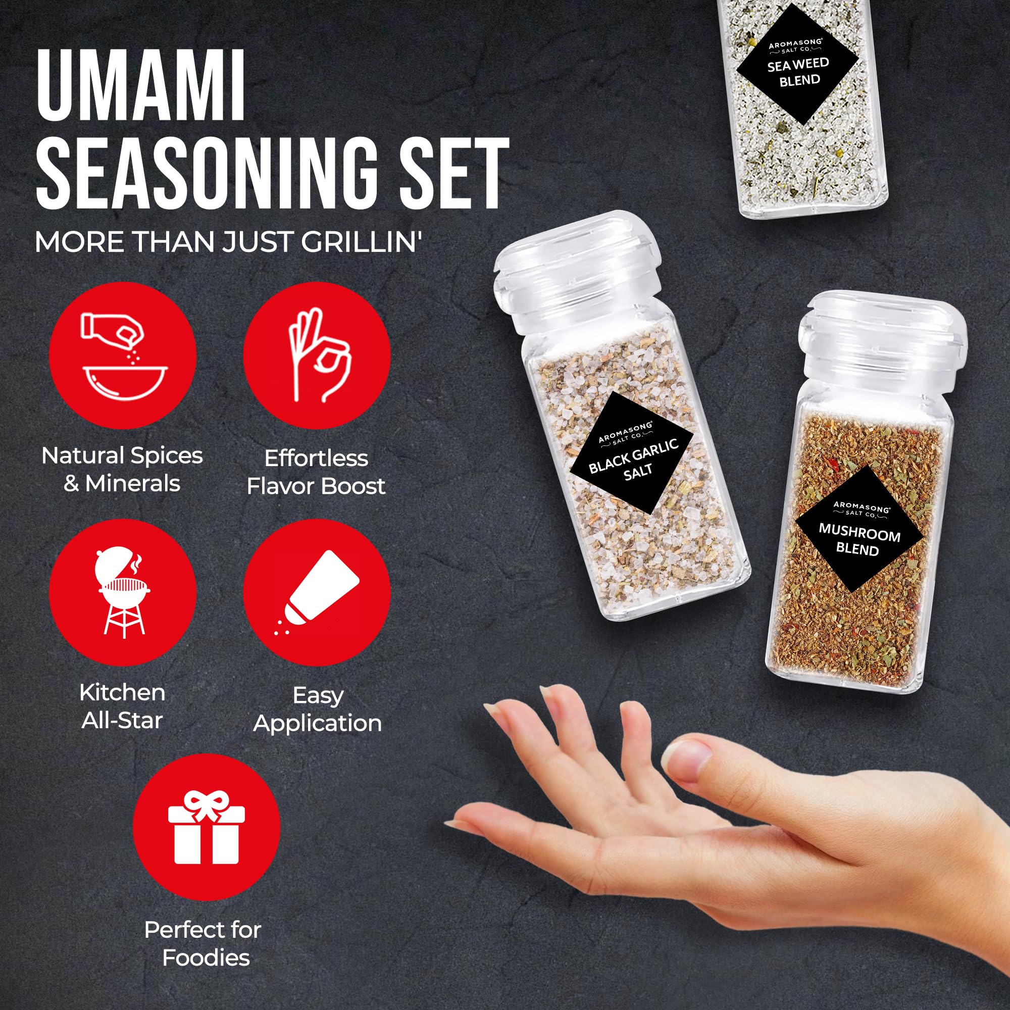 Aromasong Dead Sea Grill Seasoning Gift Set (Set of 3)