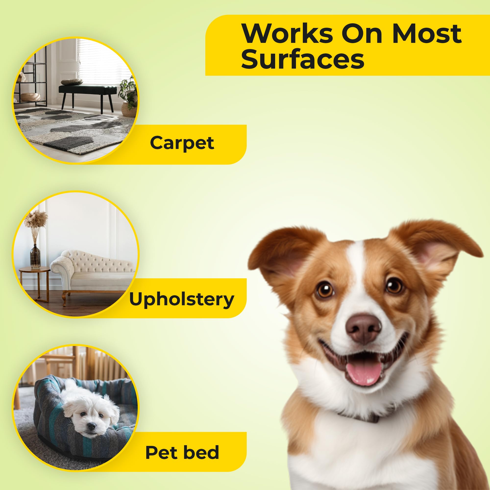 Carpet Refresher & Deodorizer Lemon Citrus Scent 3 Lbs