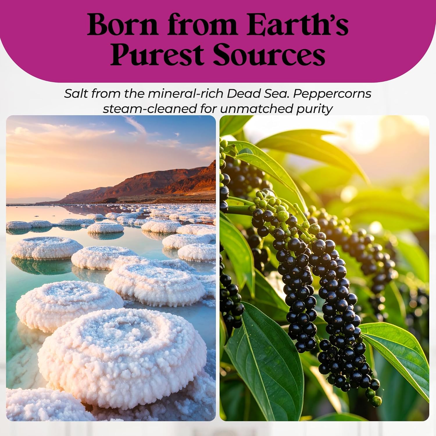 Aromasong Extra Coarse Sea Salt from the Dead Sea 14 Oz